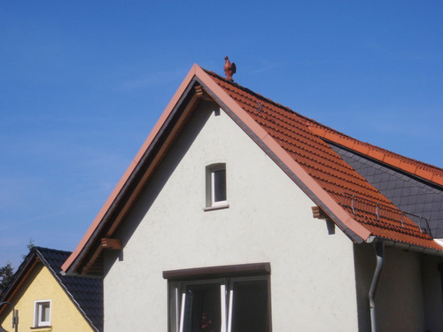 Rooster sculpture on roof line.